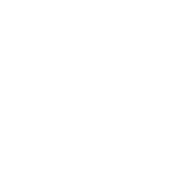 Stock Option